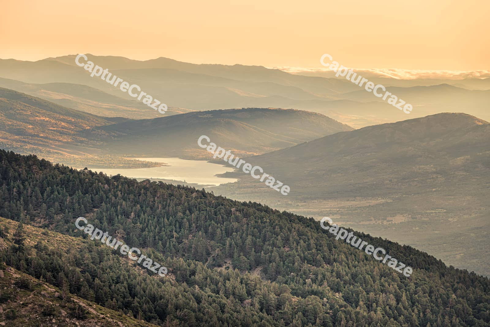 Natural landscape with beautiful vegetation